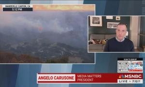 Angelo Carusone on MSNBC on January 11, 2025