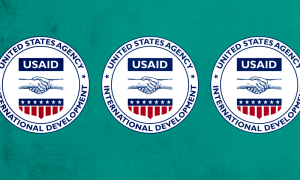 USAID logo