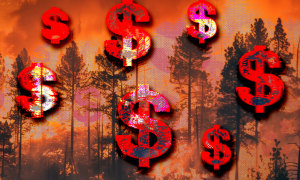 Dollar signs in front of burning trees