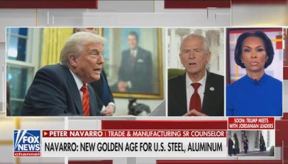 Peter Navarro on Fox