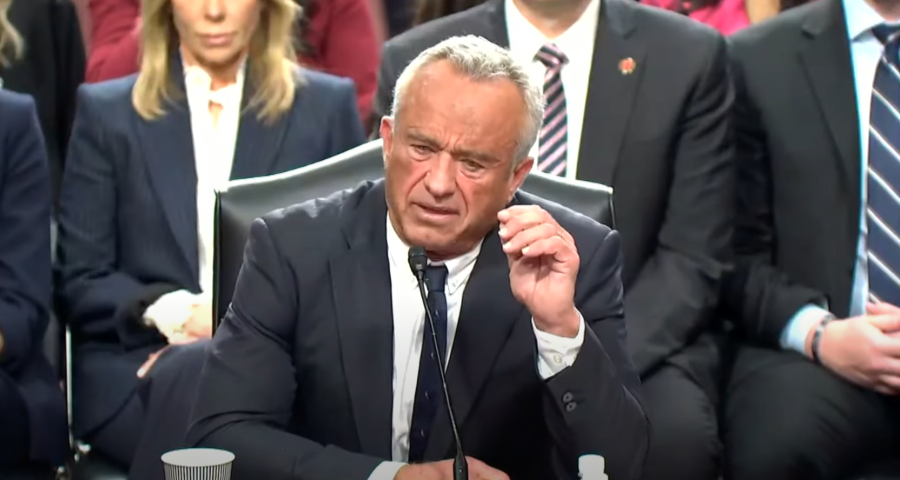 Robert F Kennedy Jr testifying at hearing